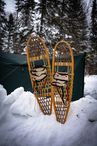 Snowshoes01.jpg